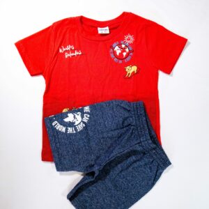 Conjunto Masculino Camiseta com Manga e Bermuda